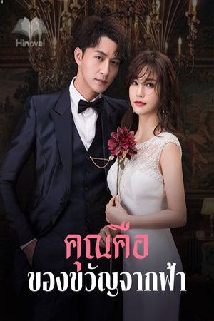 ปกของ คุณคือของขวัญจากฟ้า