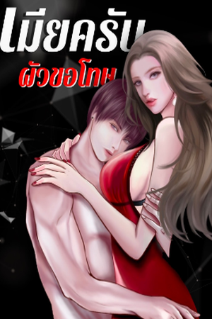 ปกของ เมียครับ ผัวขอโทษ