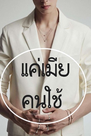 แค่เมียคนใช้