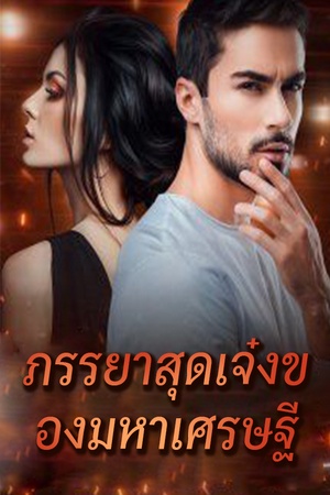 ปกของ ภรรยาสุดเจ๋งของมหาเศรษฐี