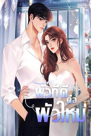 ปกของ ผัวที่ดีคือผัวใหม่