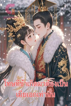 ปกของ โทษทีข้าเกิดมาต้องเป็นเมียเอกเท่านั้น