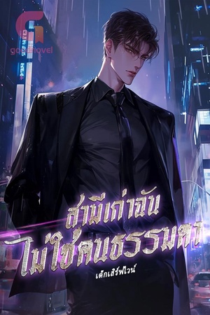 ปกของ สามีเก่าฉันไม่ใช่คนธรรมดา