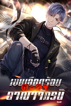 ปกของ เขยเลือดร้อน ตะลุยอาณาจักรบู๊