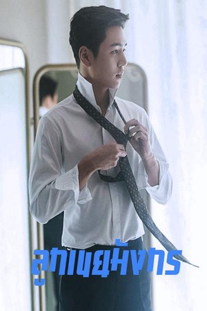 ปกของ ลูกเขยมังกร